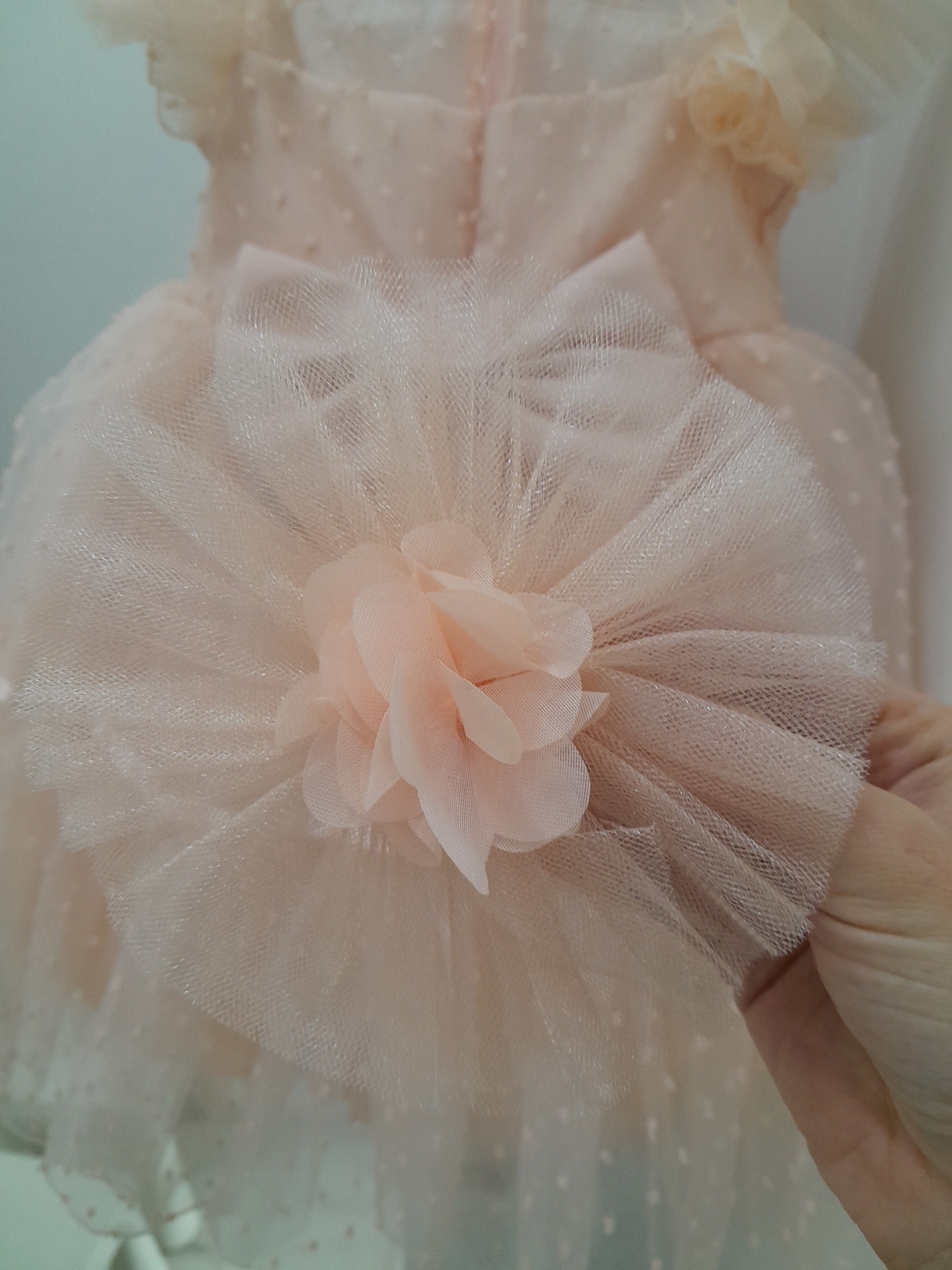 картинка eray kids / Нарядное пышное платье цвет : персиковый от магазина Одежда+